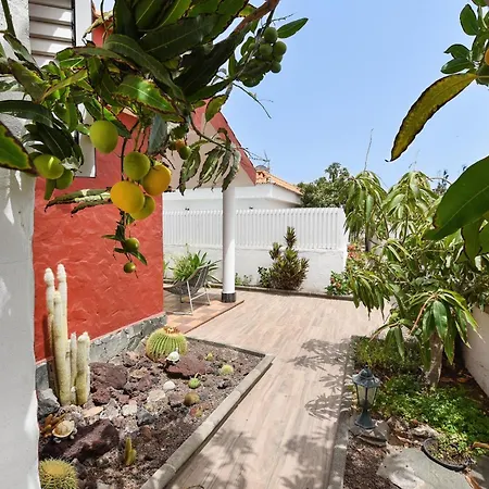 Casa Ferrera By Villagrancanaria 別荘 *